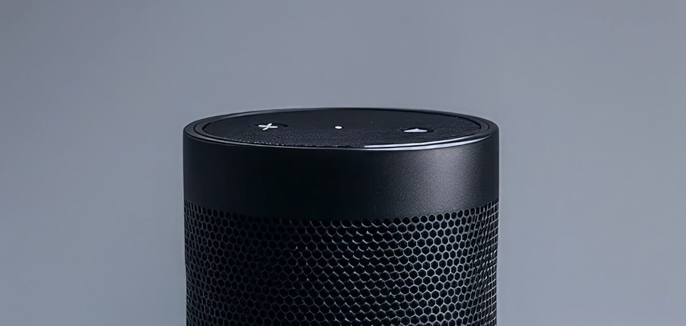 scene-showing-black-speaker 1-min scene-showing-black-speaker 1-min